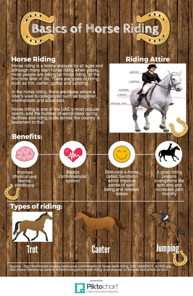 An infographic titled “Basics of Horse Riding” describes horse riding, attire, benefits, and trot, canter, and jumping, with horse illustrations.