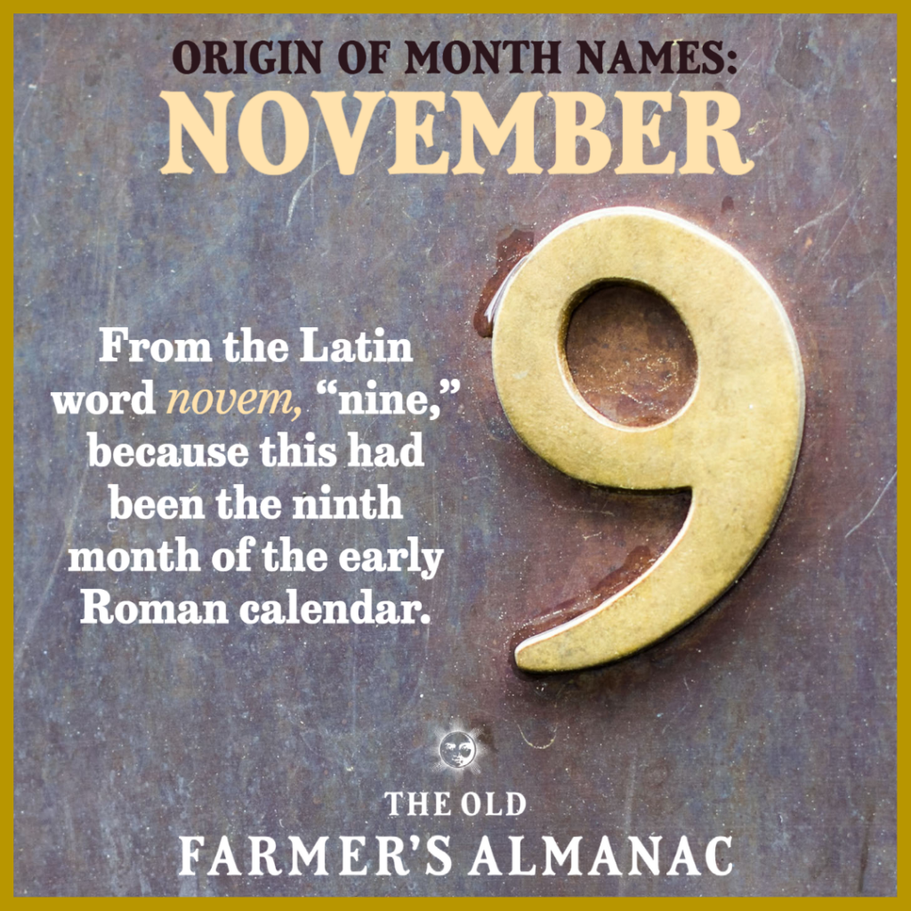 An infographic titled “Origin of Month Names: November” explains that November comes from the Latin word novem, meaning nine, because it was the ninth month of the early Roman calendar. A large gold number nine appears beside the text.