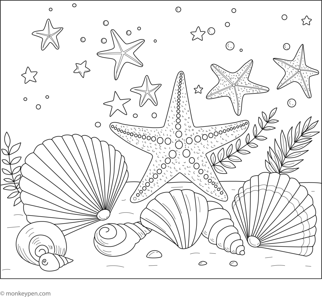 Seashell coloring page with several large scallop shells, spiral shells, starfish, bubbles, and sea plants.