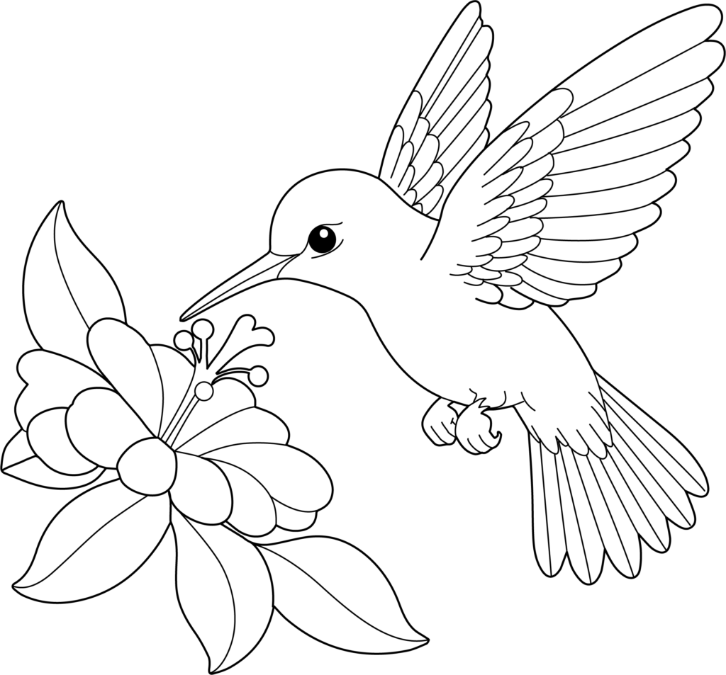 Black-and-white coloring-page outline of a hummingbird hovering with raised wings beside a large flower.