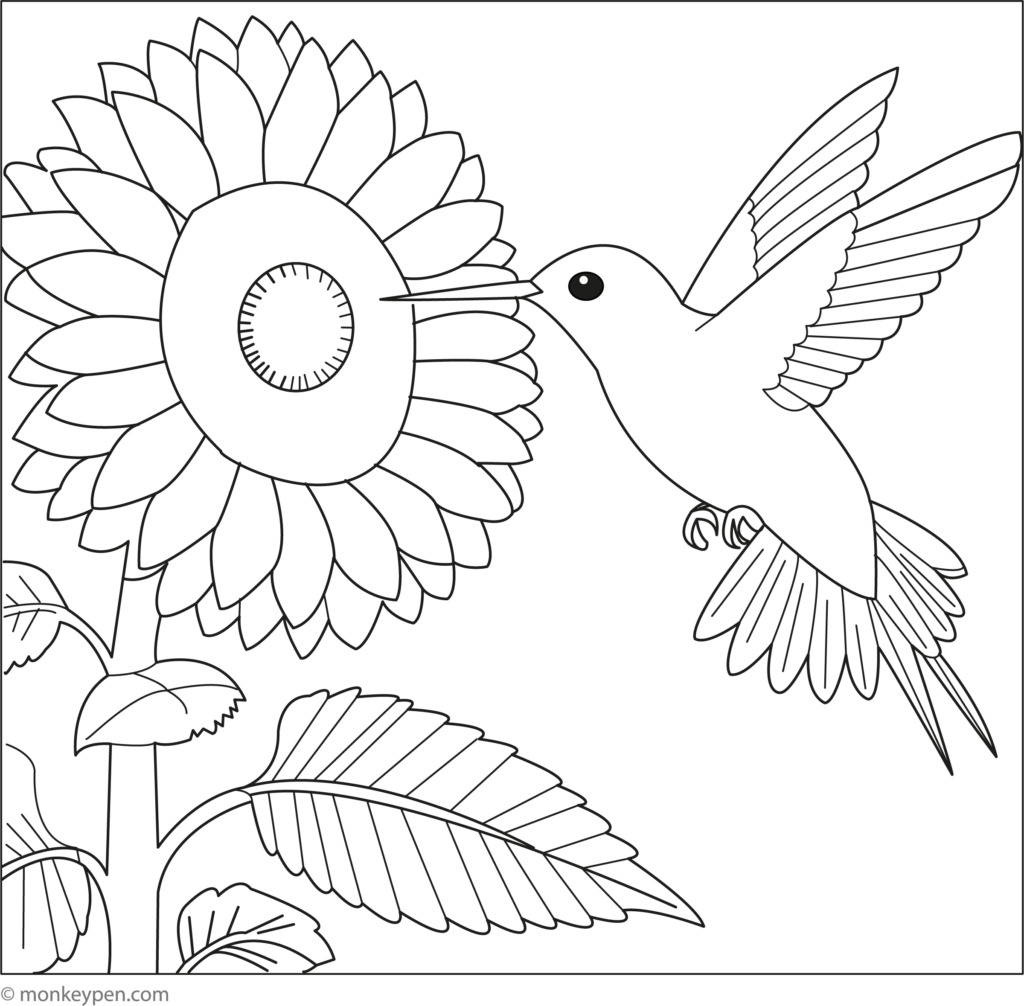Outline coloring page of a hummingbird flying beside a large flower, with leaves and another flower below.