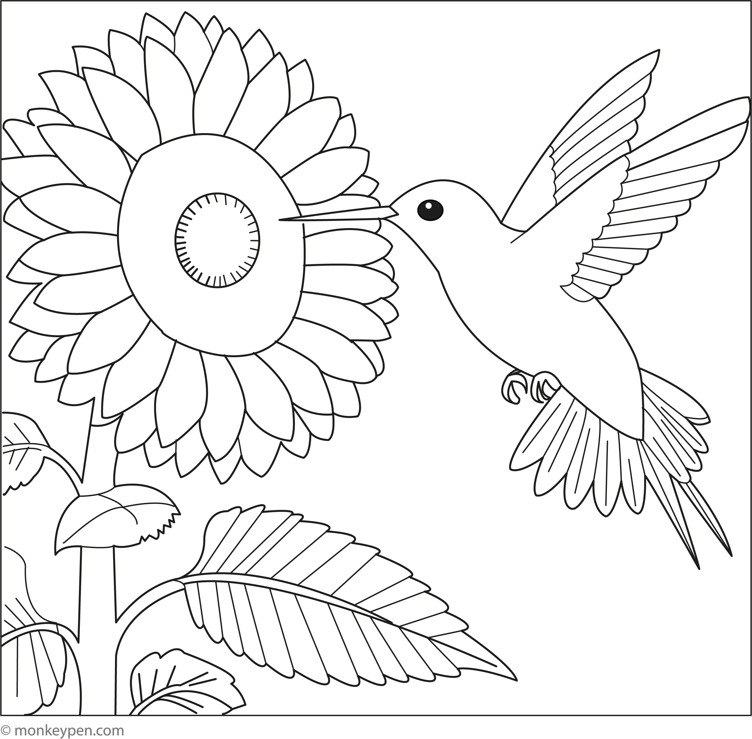 Outline coloring page of a hummingbird flying beside a large flower, with leaves and another flower below.