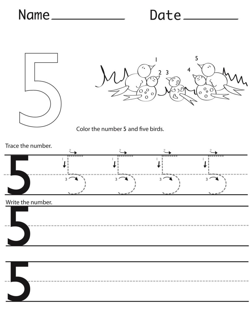 Preschool worksheet for number 5 featuring five birds to color, a large outlined 5, tracing guides, and writing lines with example numerals.