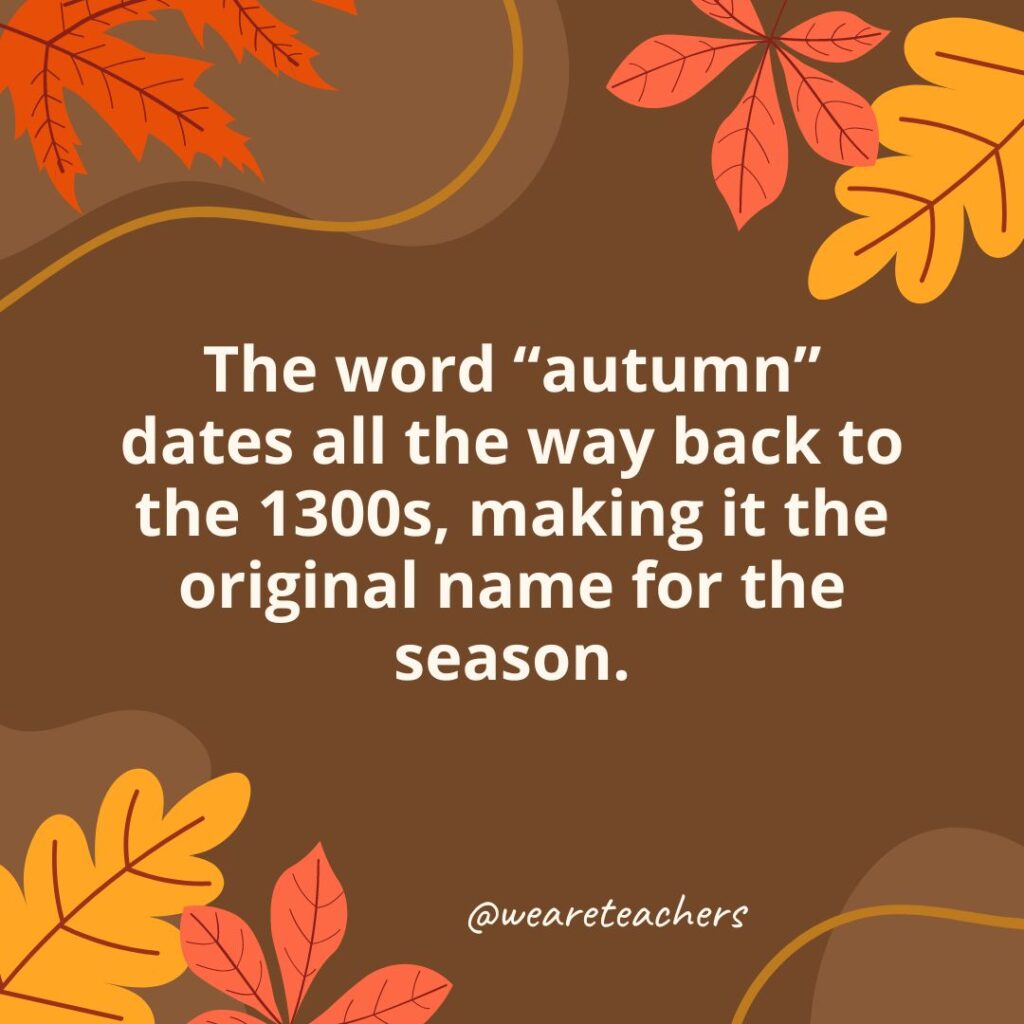 Autumn fact graphic with illustrated fall leaves stating that “autumn” dates back to the 1300s and was the season’s original name.