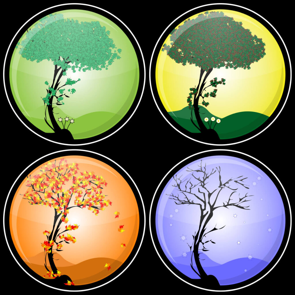 Four circular illustrations show a tree through the seasons: leafy green, lush green beneath a yellow sky, autumn leaves, and bare winter branches.