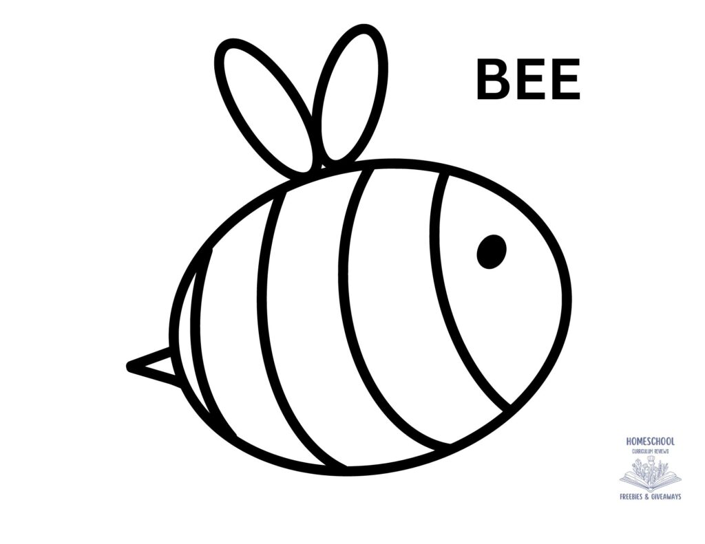 A simple black-outline coloring page of a rounded bee with two antennae, a pointed tail, striped body, and one eye.