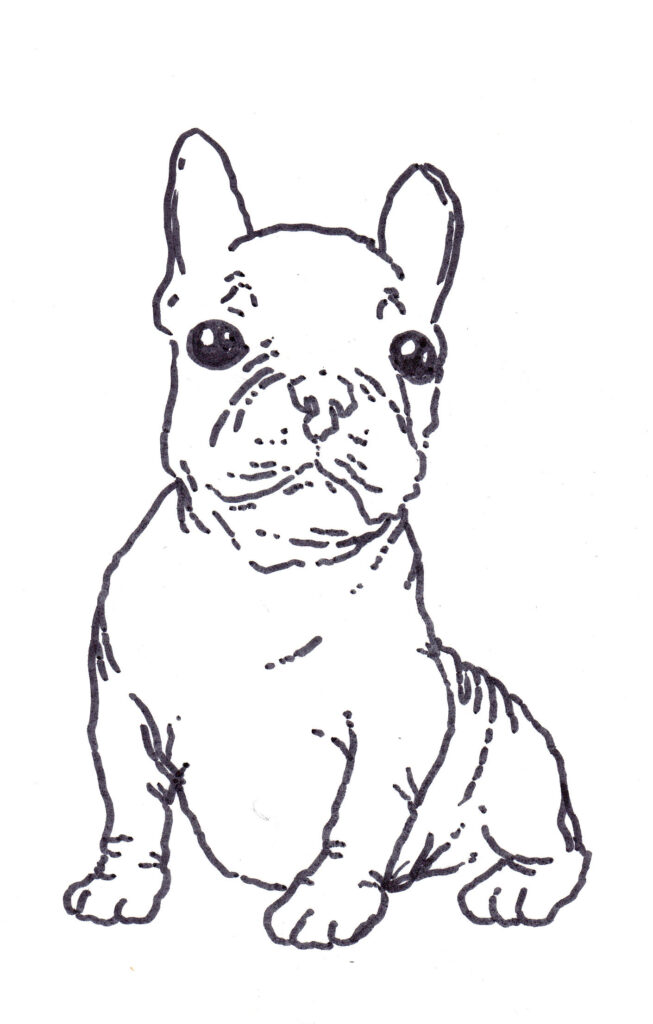 Black outline drawing of a seated French bulldog with upright ears, large eyes, and a wrinkled muzzle.