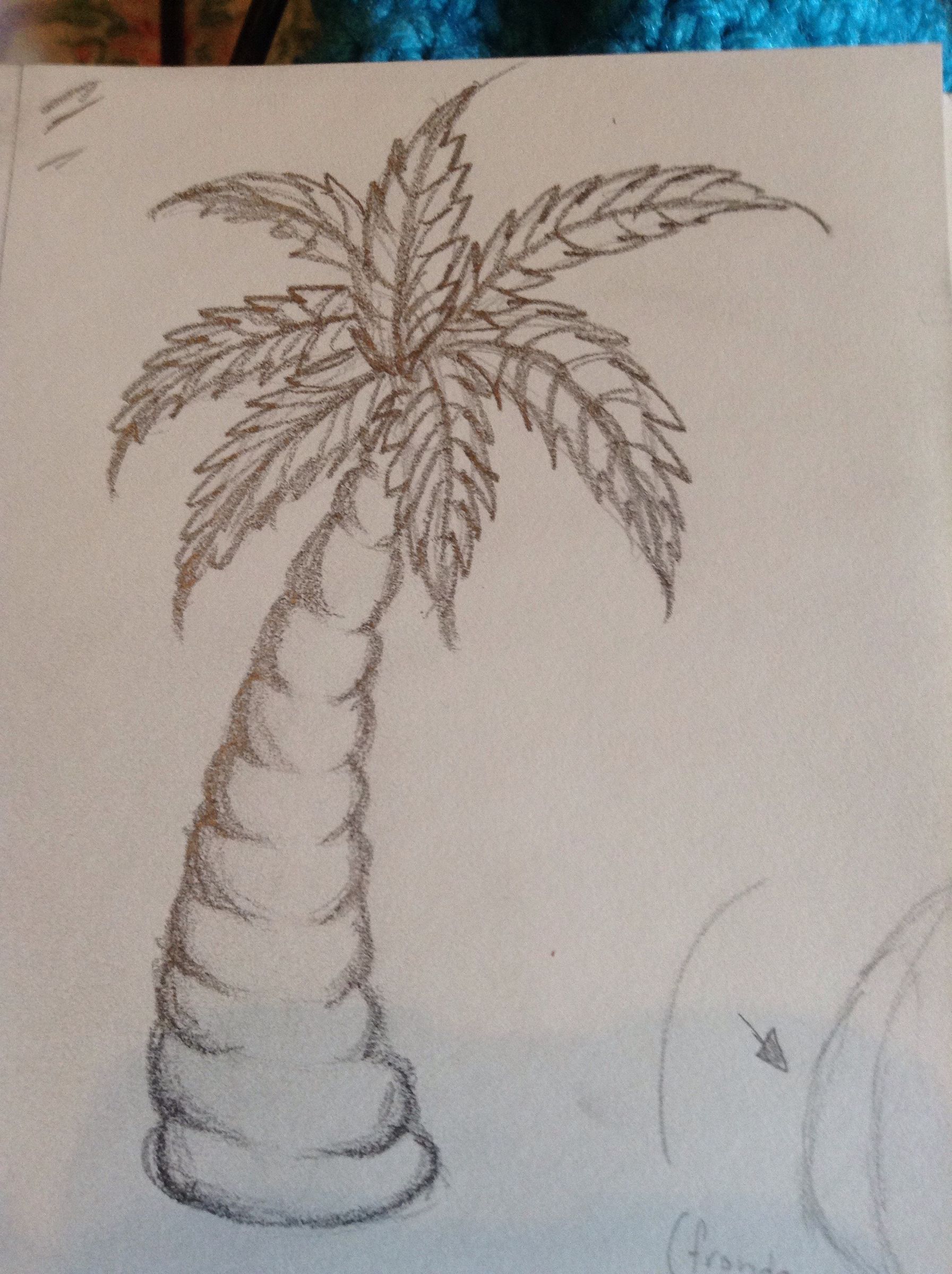 Pencil sketch of a palm tree with a curved, segmented trunk and a crown of long, pointed fronds.