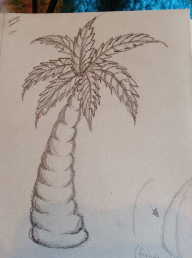 A simple pencil sketch of a palm tree with a curved, segmented trunk and broad, pointed fronds.