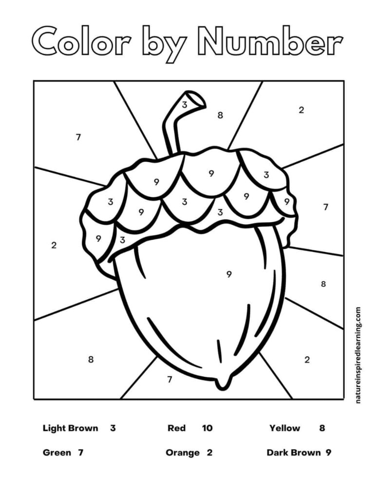 A color-by-number worksheet featuring a large acorn with numbered sections, surrounded by geometric background areas and a key for light brown, red, yellow, green, orange, and dark brown.