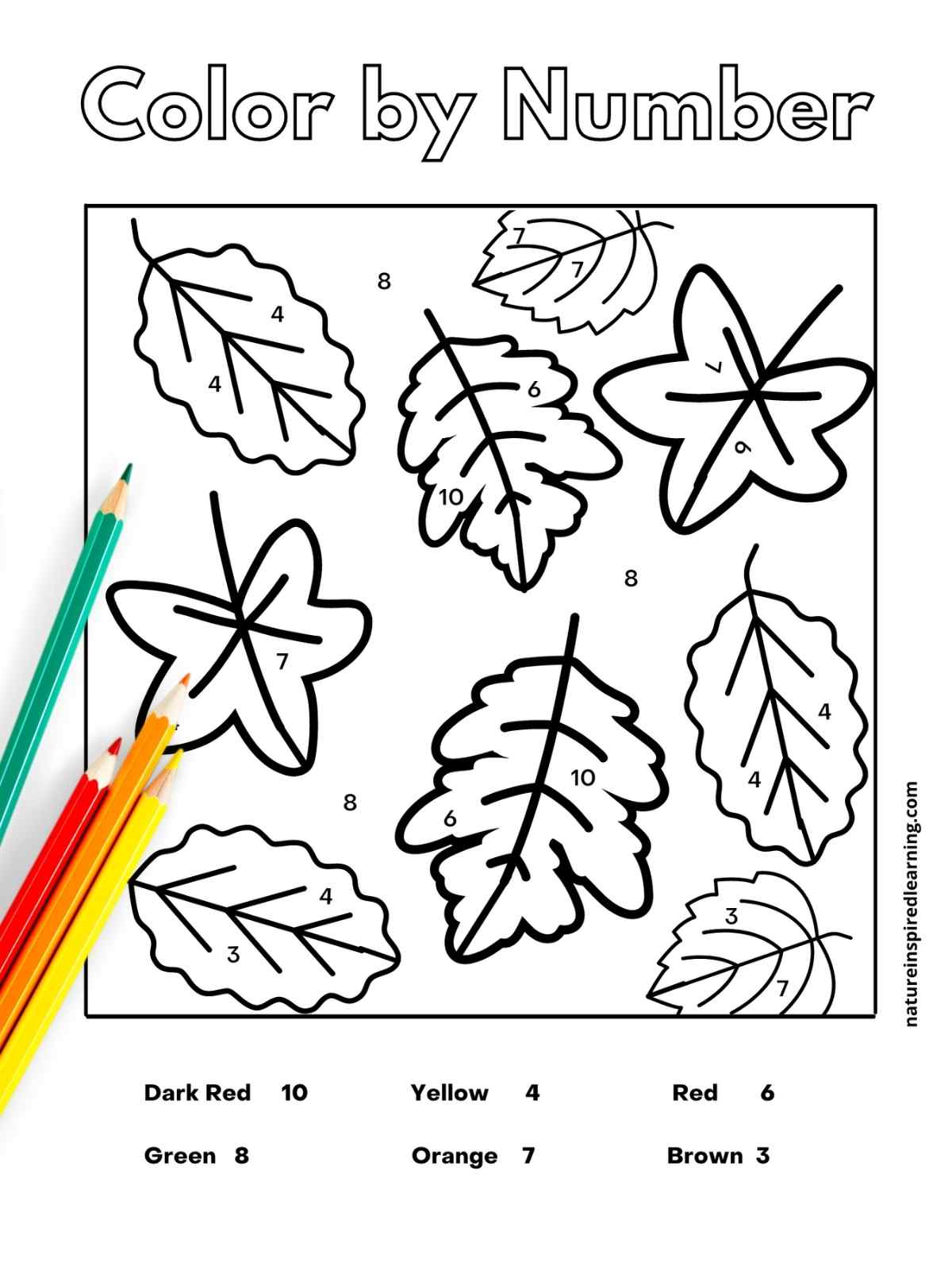 A fall leaf color-by-number worksheet with outlined leaves labeled with numbers and a color key listing dark red, yellow, red, green, orange, and brown.
