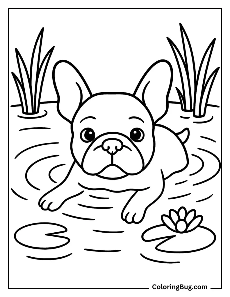 A French bulldog swims through a pond among reeds and lily pads, with a water lily and ripples drawn in bold outlines for coloring.