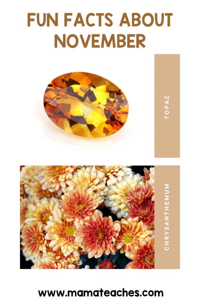 A November facts poster with a large amber topaz gemstone and a collage of yellow, peach, and red chrysanthemums, labeled “Topaz” and “Chrysanthemum.”.