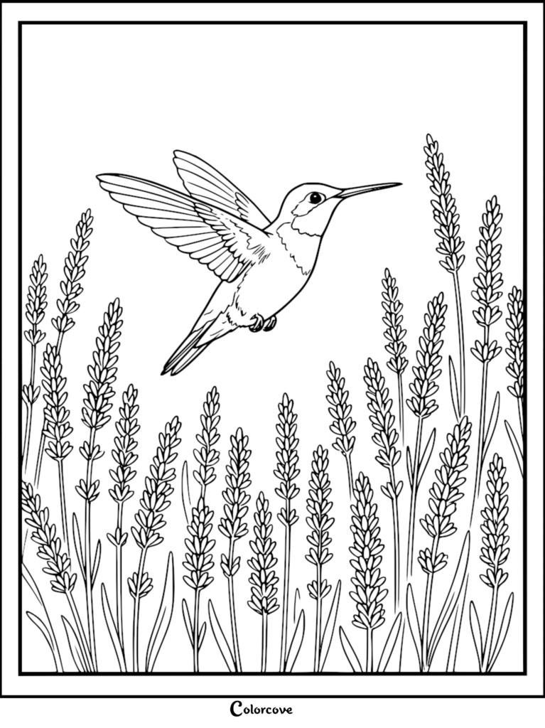 A hummingbird with outstretched wings hovers above a field of flowering plants, drawn in clean black outlines for coloring.