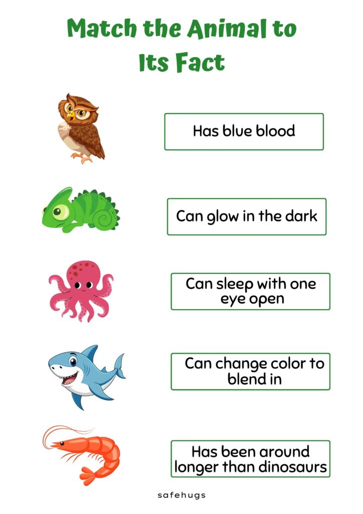 A matching worksheet titled “Match the Animal to Its Fact,” with illustrations of an owl, chameleon, octopus, shark, and shrimp beside fact prompts.