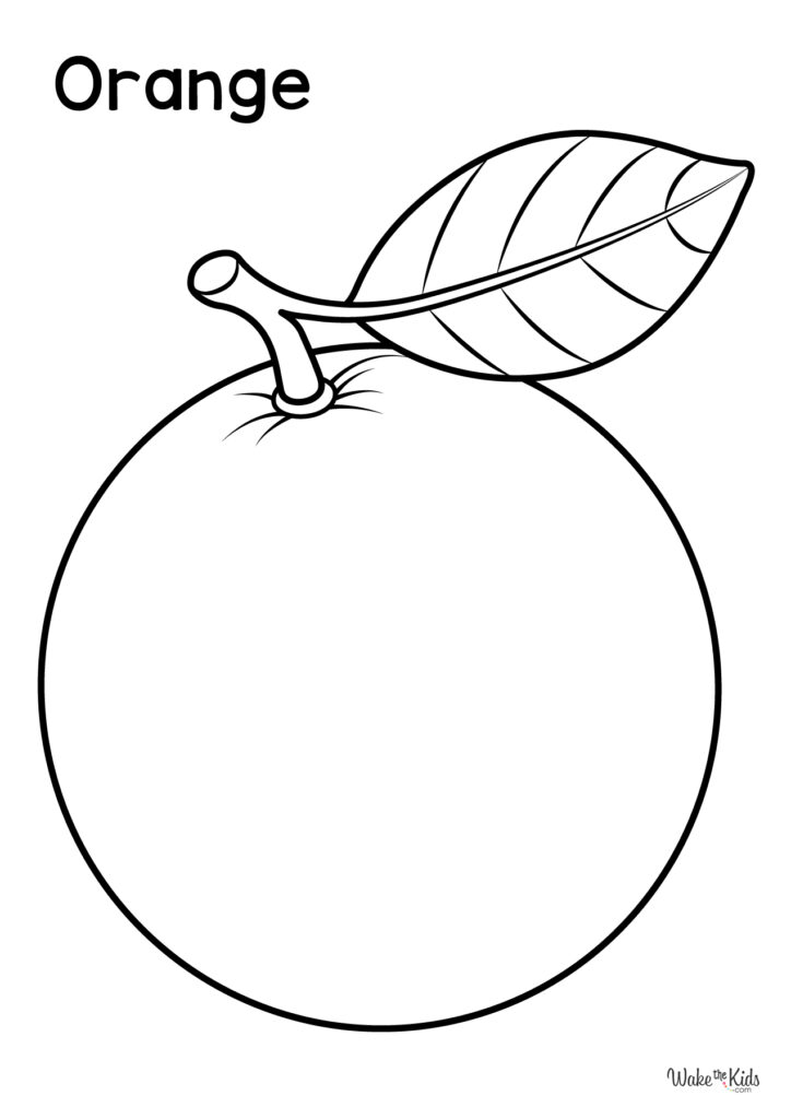 A coloring-page outline of a large orange with a stem and veined leaf, labeled “Orange.”.