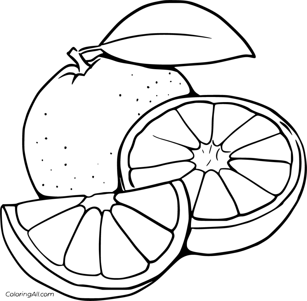 Black-and-white coloring page of a whole orange with a leaf, a large cross-section, and a foreground wedge.