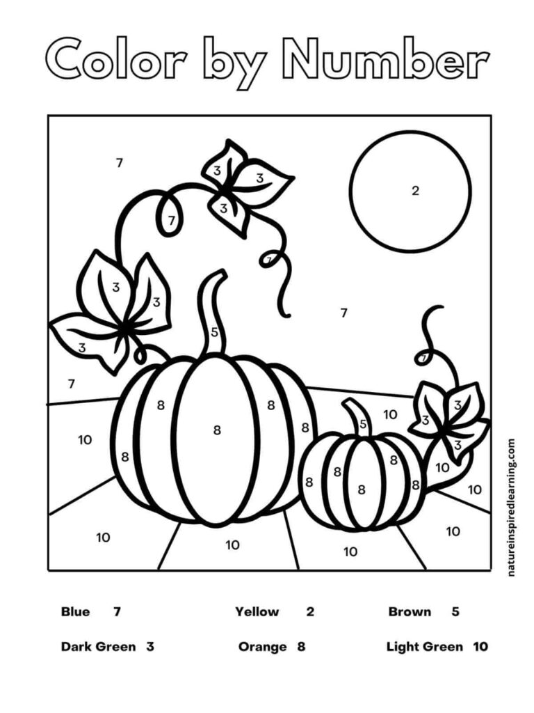 A color-by-number worksheet showing two pumpkins, curling vines, leaves, and a round sun, with a key assigning colors to numbers.