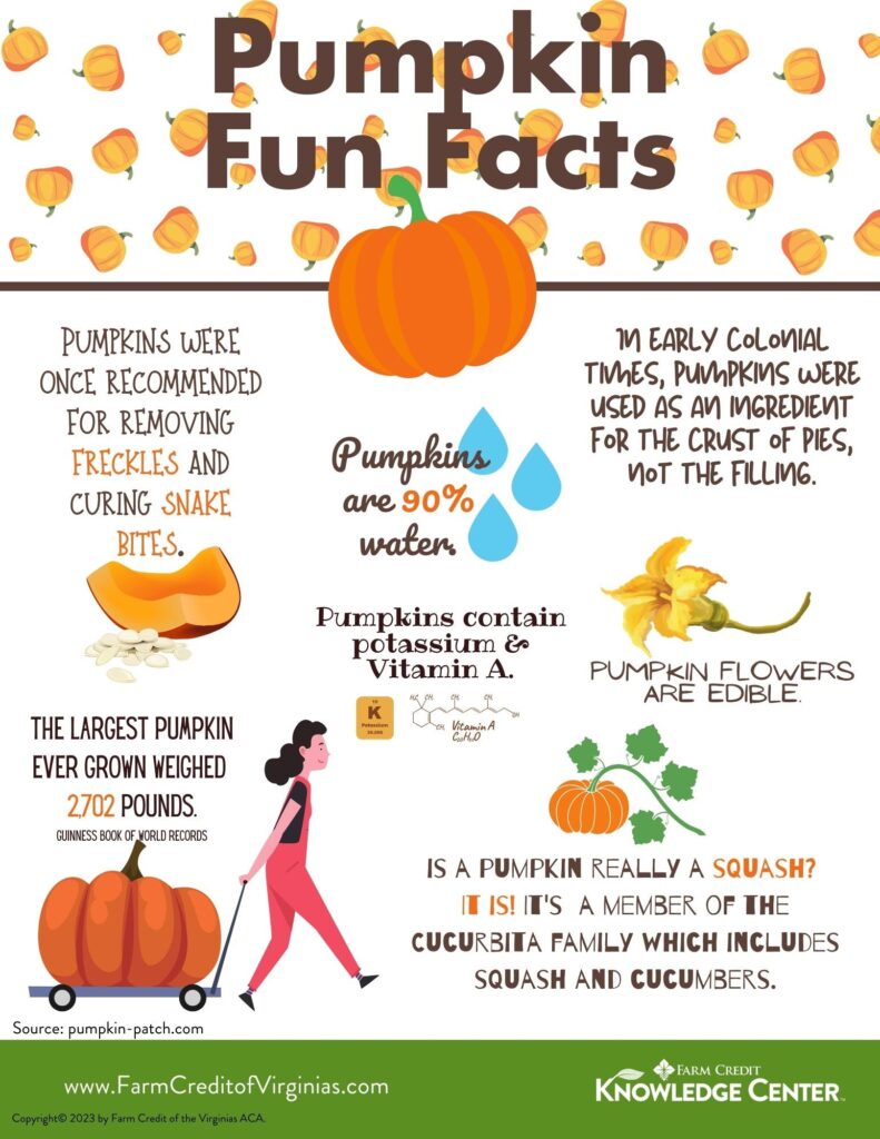 An illustrated pumpkin facts infographic with pumpkin illustrations and facts about water content, nutrition, edible flowers, historical uses, and the largest pumpkin. A woman pushes a giant pumpkin on a cart.