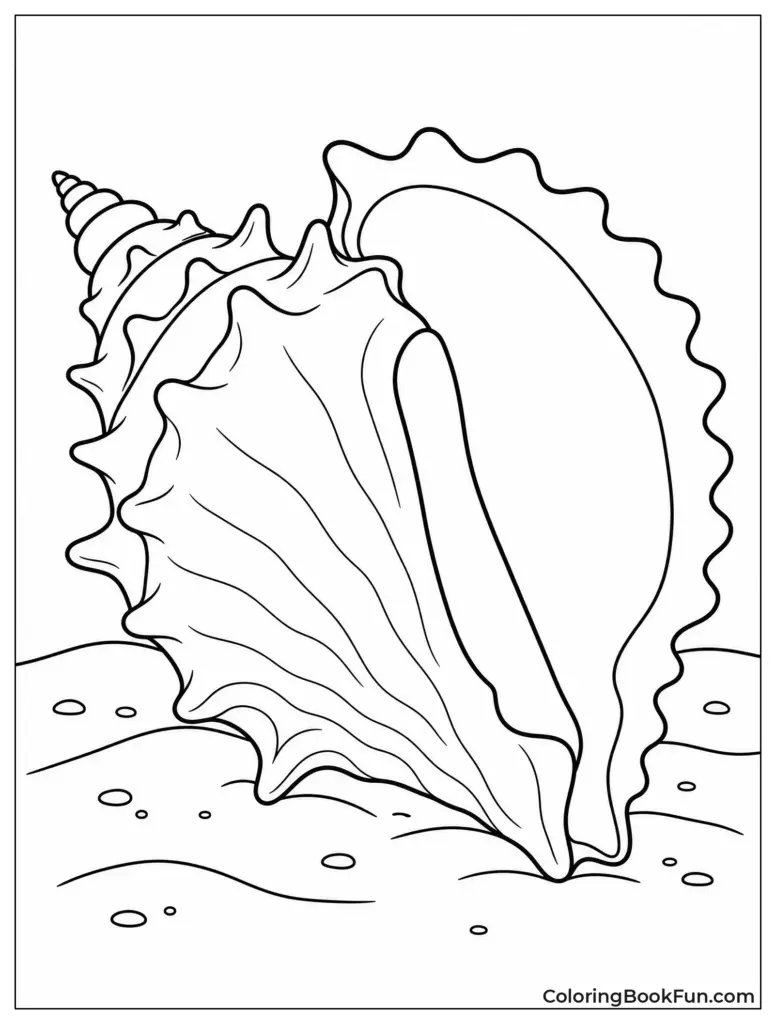 Outline coloring page of several large seashells standing on a sandy seabed, with small shells and pebbles around them.