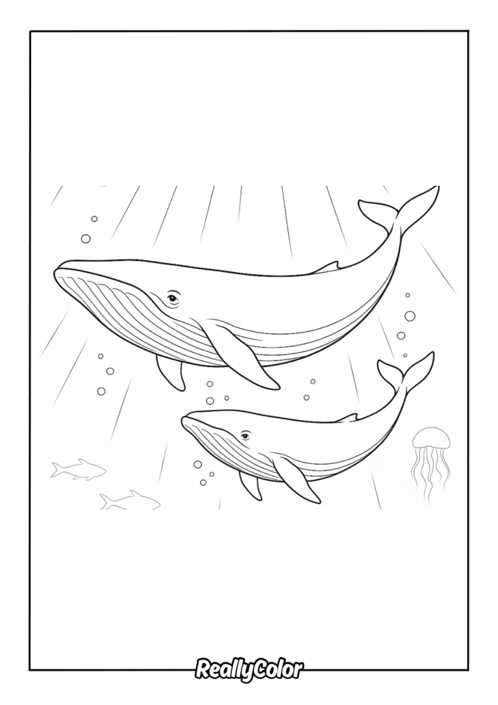 Coloring page showing two whales swimming underwater with small fish, bubbles, and a jellyfish.