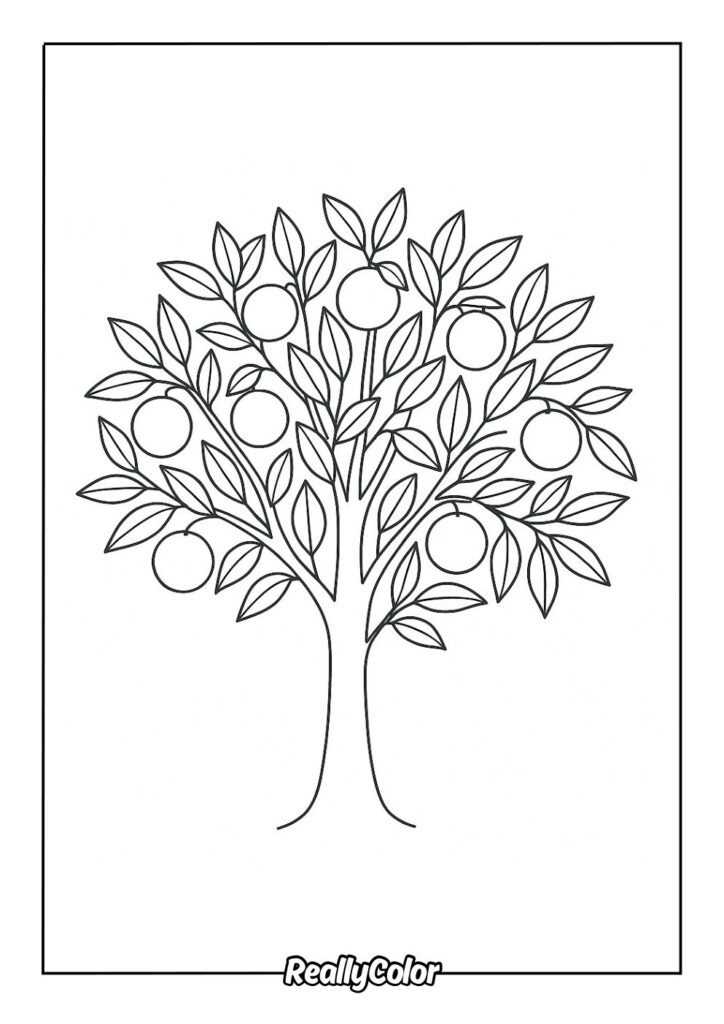 Black-and-white coloring page showing a leafy fruit tree with round fruits inside a rectangular border.