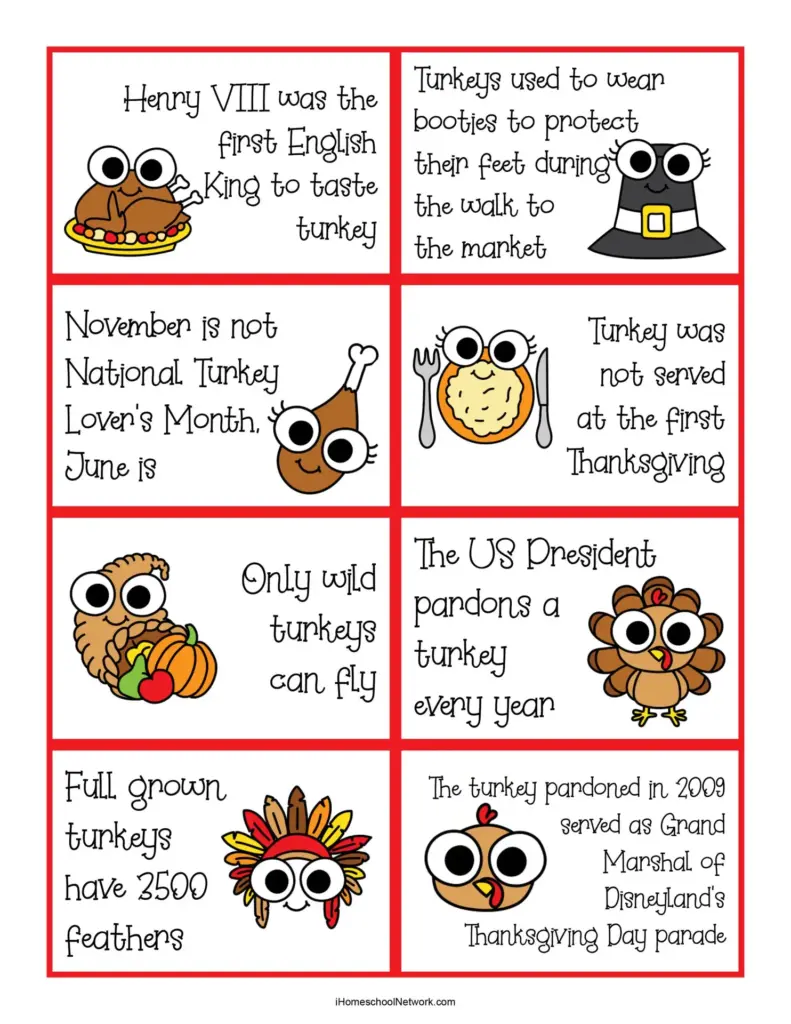 A red-bordered grid of illustrated turkey facts, including notes about Thanksgiving, turkey feathers, flying, and the presidential turkey pardon.