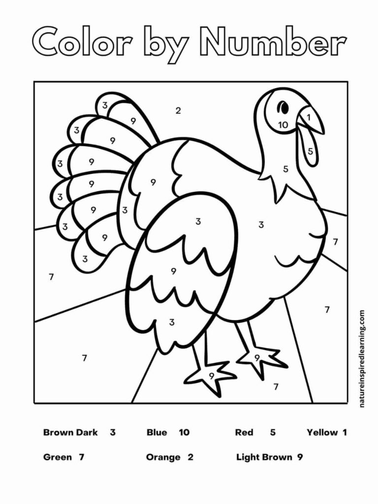 Color-by-number worksheet featuring a turkey with numbered sections and a color key along the bottom.