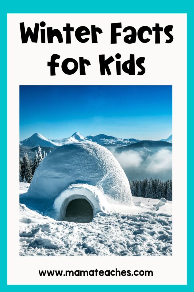 A snowy igloo sits before a forest and mountain range beneath a bright blue sky. The page is titled “Winter Facts for Kids.”.