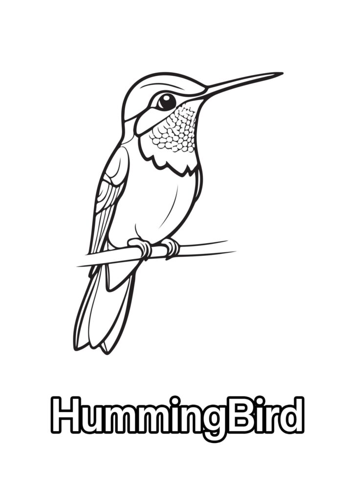 Black-and-white hummingbird coloring page showing a detailed bird perched on a branch, with “Humming Bird” printed below.