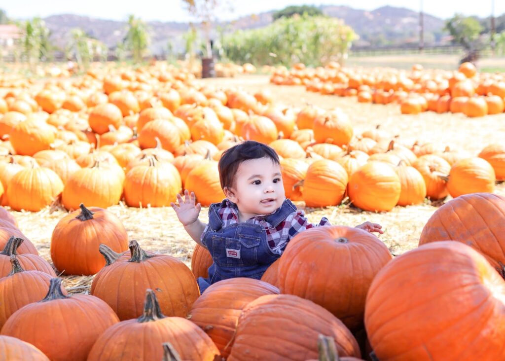 A young child in denim overalls sits among rows of orange pumpkins at a sunny pumpkin patch.