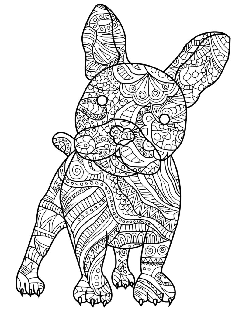 An upright French bulldog coloring page filled with intricate floral and geometric patterns.