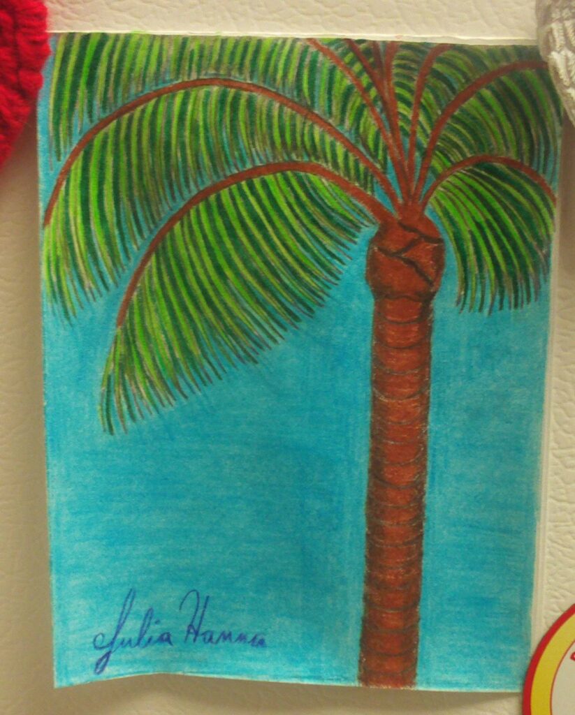 A colored drawing of a tall palm tree with a segmented brown trunk and arching green fronds against a turquoise background.