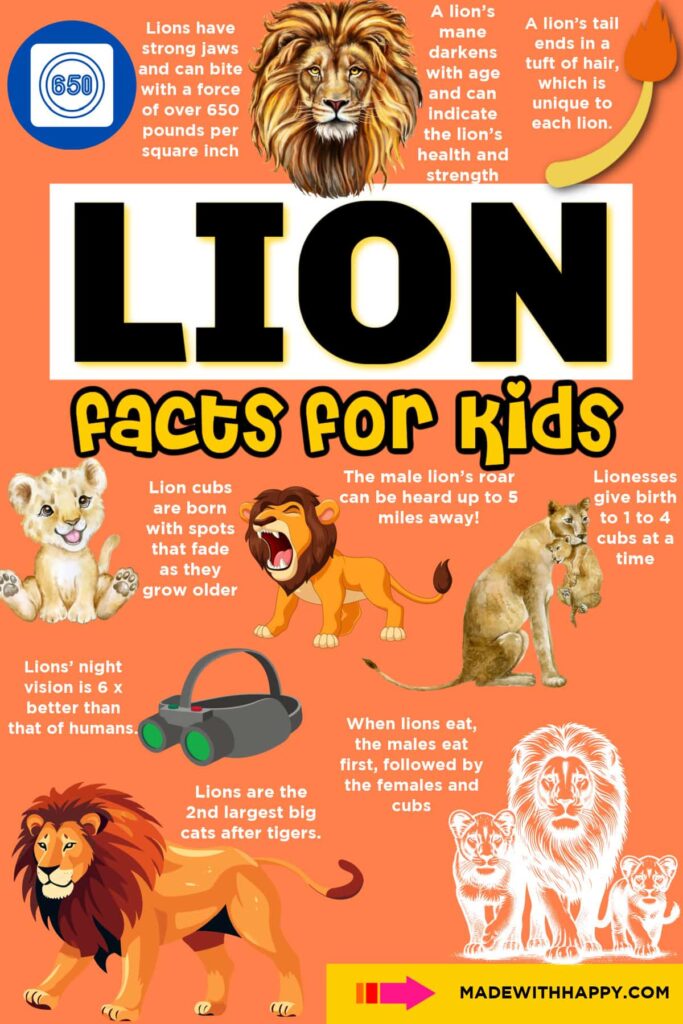 Orange illustrated poster titled “Lion facts for kids,” with lion and cub illustrations, a night-vision image, and short facts about lions.