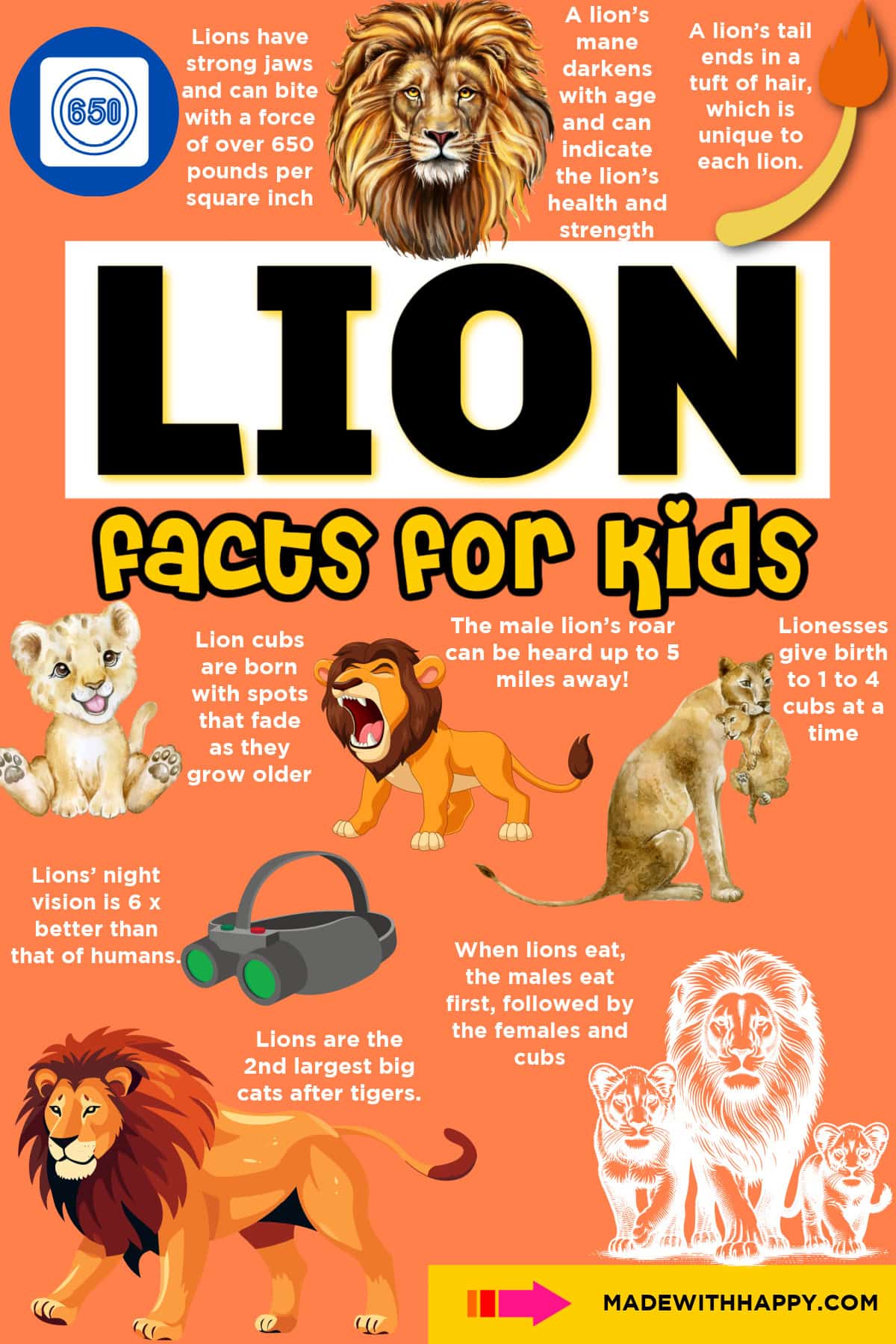 Orange illustrated poster titled “Lion facts for kids,” with lion and cub illustrations, a night-vision image, and short facts about lions.