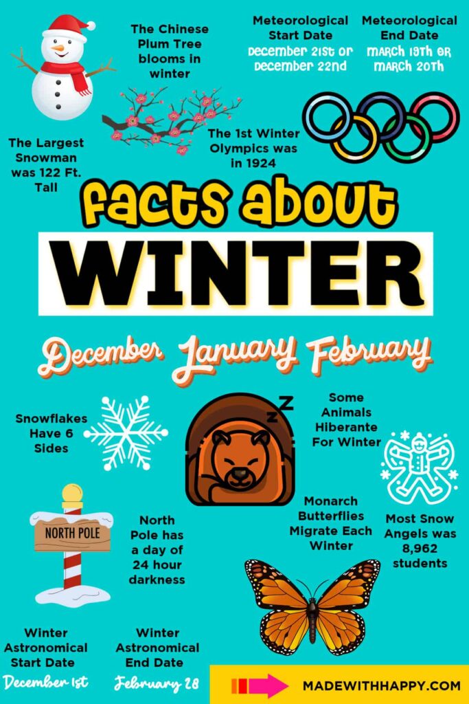 A turquoise winter-facts infographic with a snowman, plum blossoms, Olympic rings, snowflake, hibernating bear, North Pole sign, monarch butterfly, and seasonal dates.