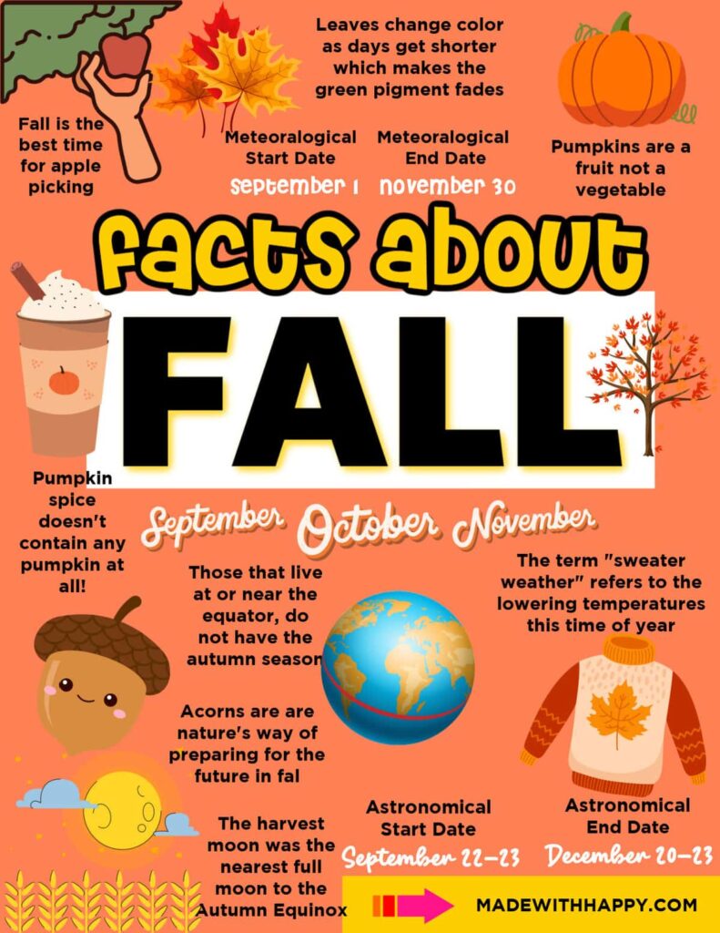 An illustrated fall facts infographic with leaves, a pumpkin, an acorn, a globe, and a sweater. It lists meteorological dates as September 1 to November 30 and astronomical start dates as September 22–23.