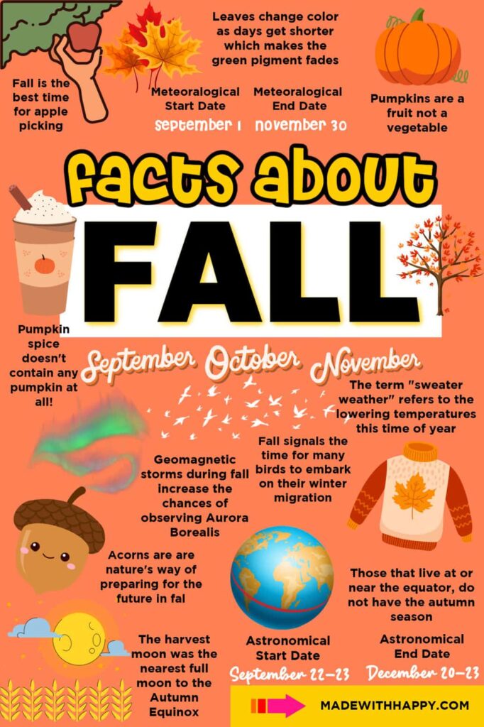 An orange infographic titled “Facts about Fall,” with illustrated autumn leaves, a pumpkin, sweater, acorn, Earth, and moon alongside seasonal facts and dates.