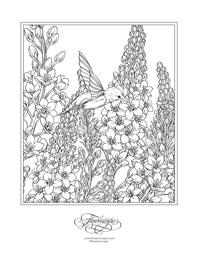 A hummingbird hovers among densely packed flowers and tall flower spikes in a detailed black-and-white coloring page.