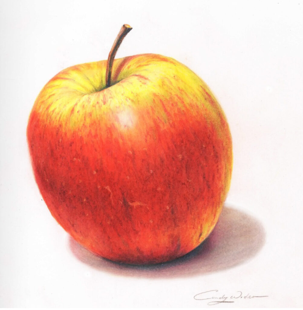 A colored-pencil-style drawing of a red and yellow apple with a curved brown stem and a soft shadow.