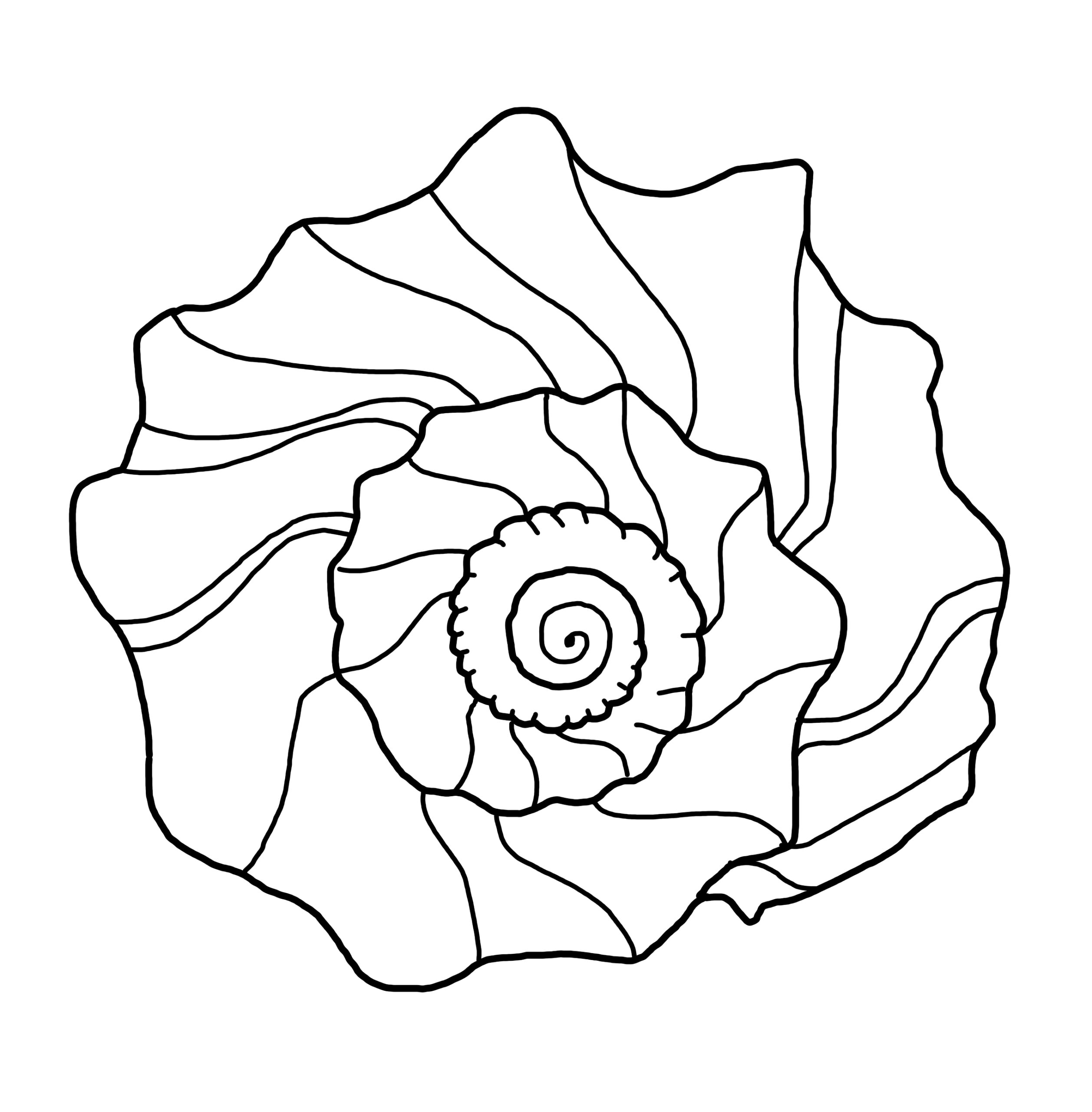 Black-and-white coloring page of a large spiral shell, with irregular curved sections outlined across its surface.
