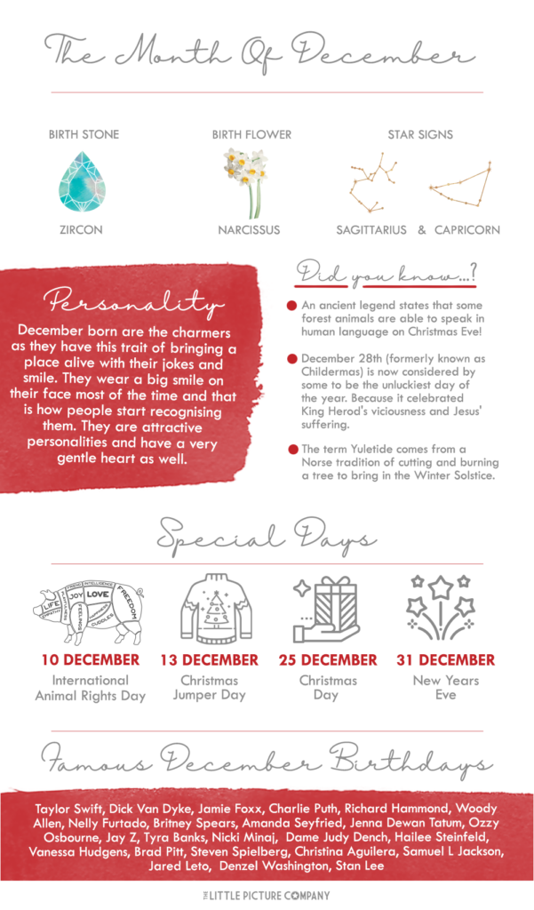 A December infographic with sections on zircon, narcissus, Sagittarius and Capricorn, personality traits, seasonal traditions, special days, and famous December birthdays.