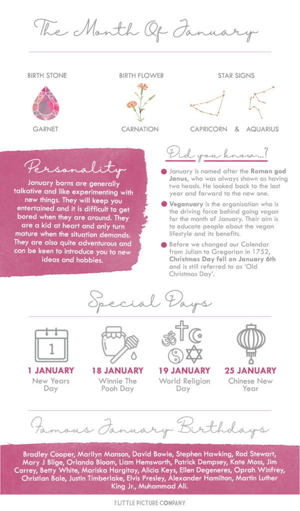 Infographic about January featuring its garnet birthstone, carnation flower, Capricorn and Aquarius signs, facts, special days, and famous January birthdays.