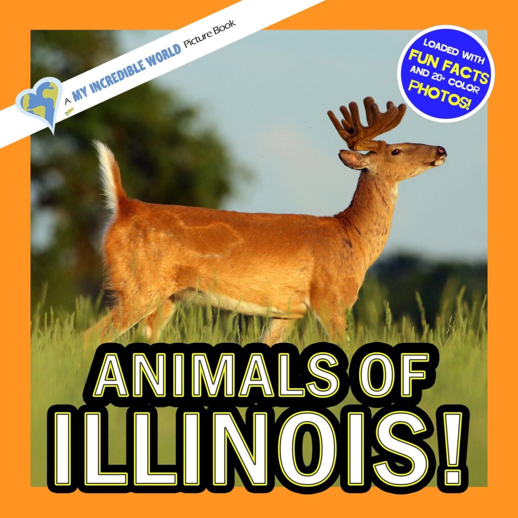 Children’s book cover featuring a deer standing in grass, titled “Animals of Illinois!”.