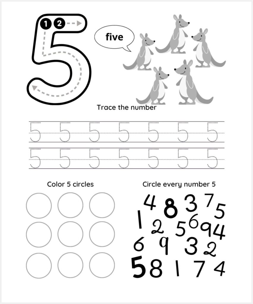 Preschool number 5 worksheet with a large tracing guide, five kangaroos, dotted numeral tracing rows, empty circles to color, and mixed numbers for circling each 5.