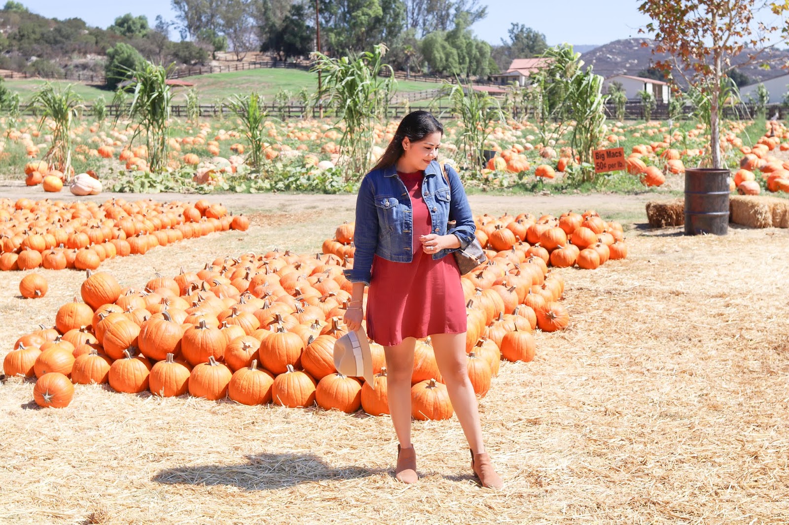 A woman stands among pumpkins at a farm patch, with rows of pumpkins, cornstalks, fences, and hills in the background.