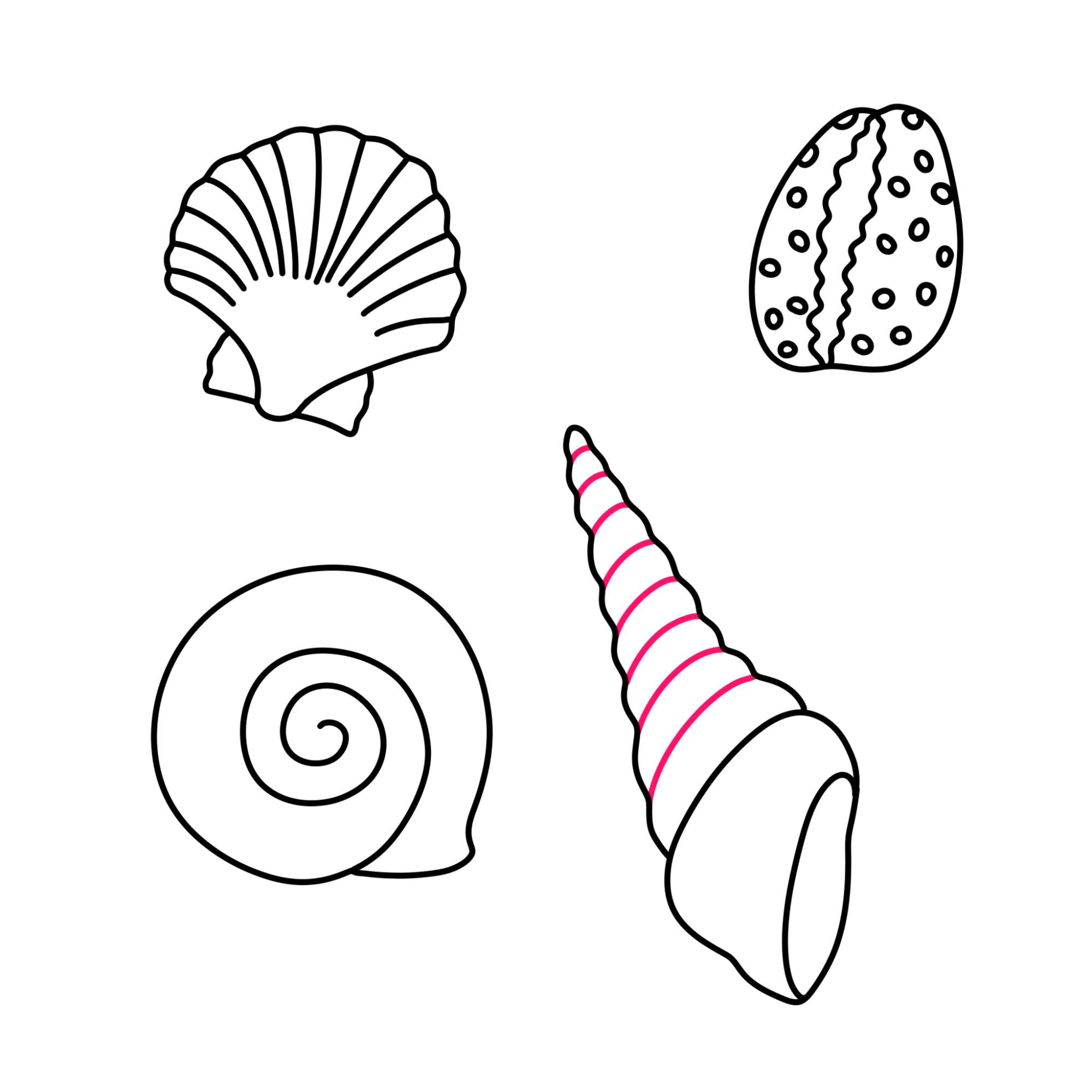 Three simple shell drawings: a fan-shaped scallop, a spiral shell, and a tall conical shell with pink bands.