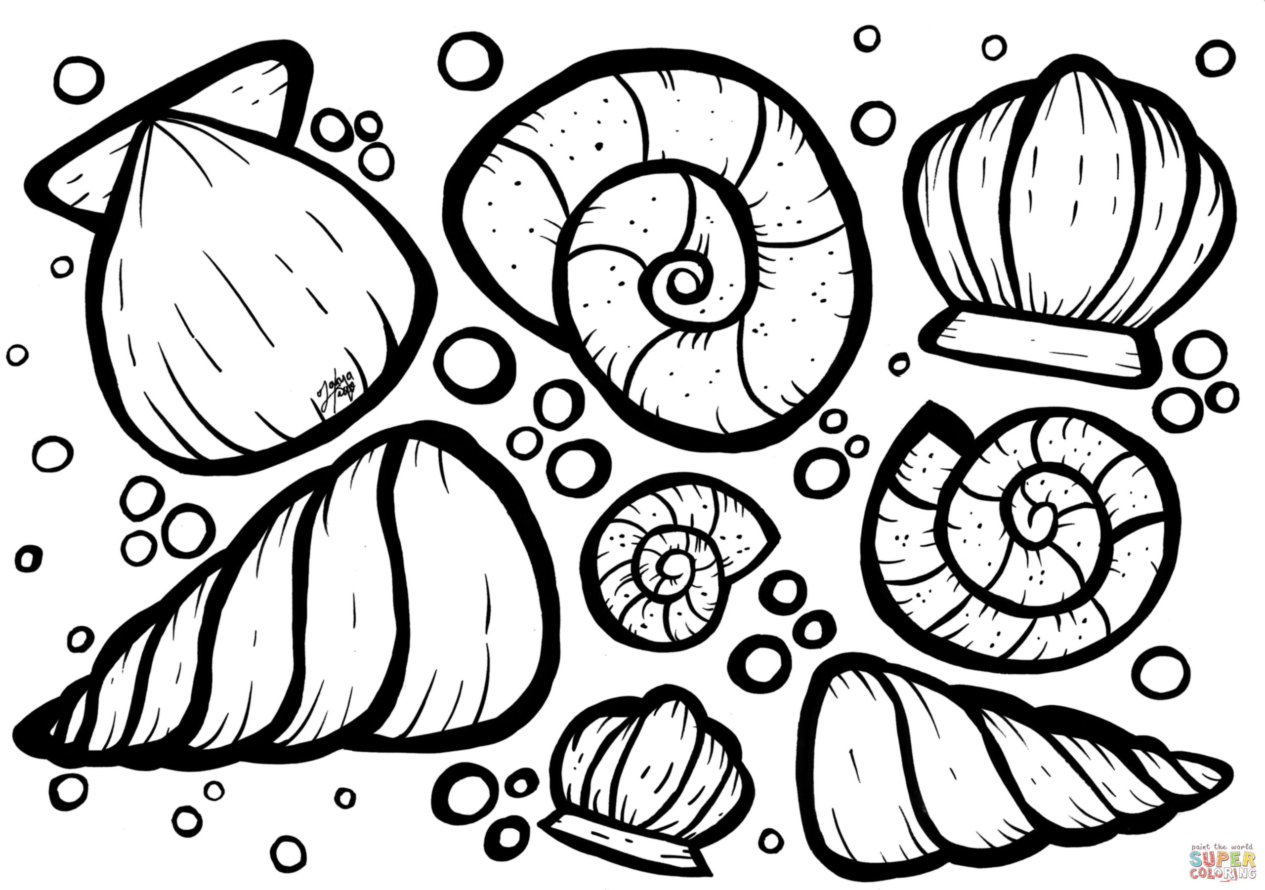 Black-and-white coloring page with outline drawings of assorted seashells, including spiral shells, a clam, and a conch, surrounded by bubbles.