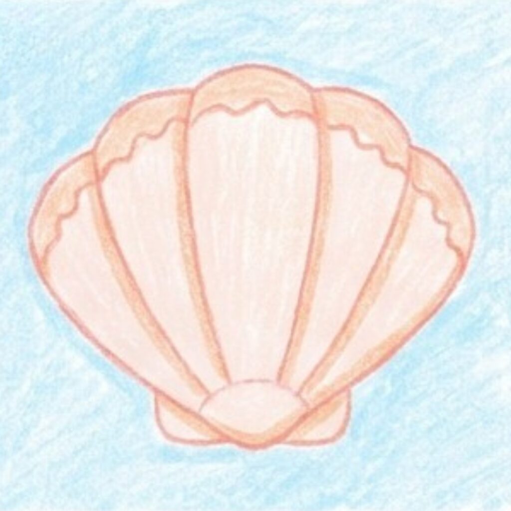 A peach-colored scallop shell with outlined ridges against a light blue textured background.