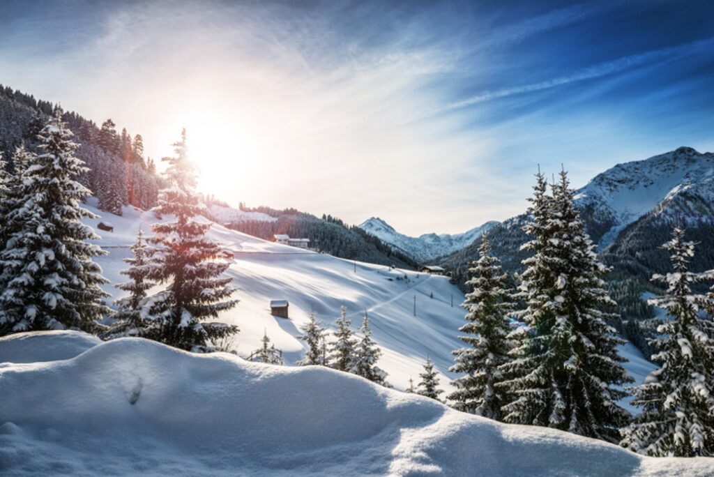 A sunlit snowy mountain slope surrounded by snow-covered evergreen trees, with distant peaks beneath a blue sky.
